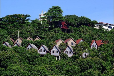 仙湖農場