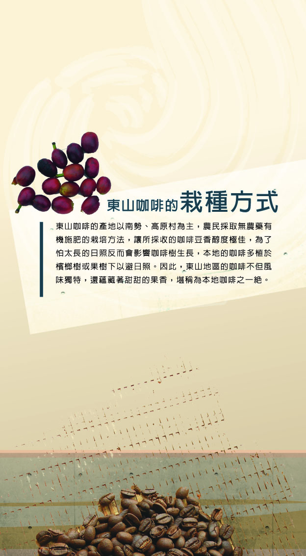 咖啡製作過程