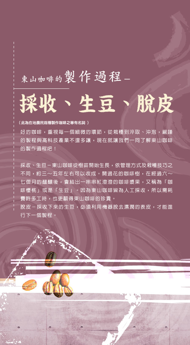 咖啡製作過程